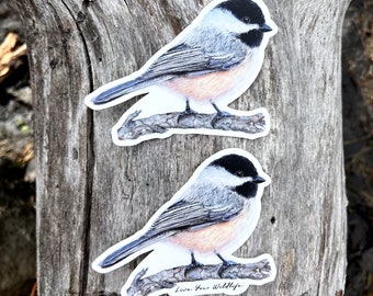 Black capped chickadee sticker, vinyl sticker decal, bird sticker, bird gift, laptop sticker, tumbler sticker, car sticker, ornithology gift