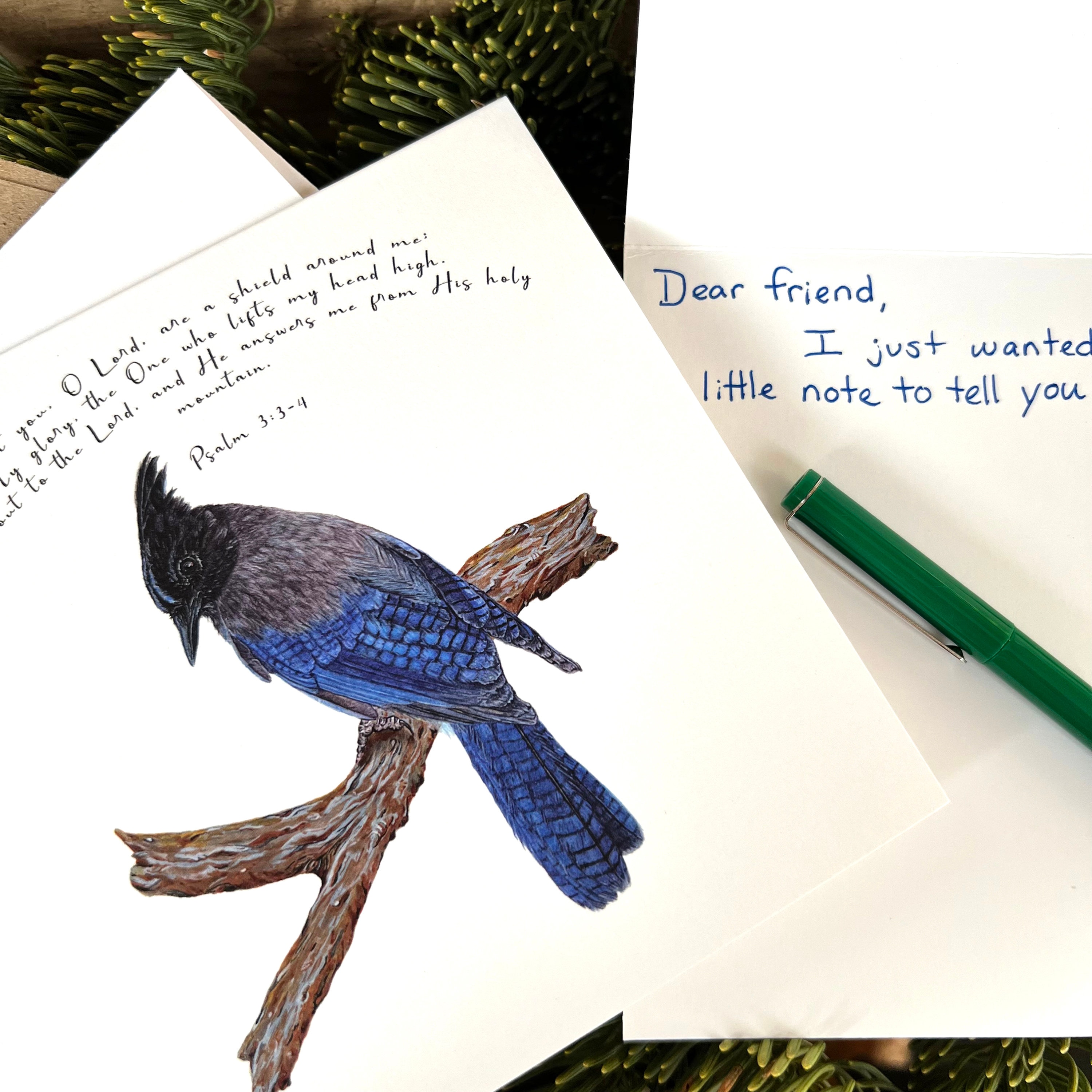 Steller's Jay Bible Verse Card, You O Lord Are a Shield Around Me ...