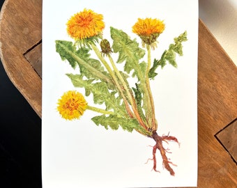 Dandelion print, botanical art print, watercolor illustration, floral illustration, wall art home decor, nature lover gift, cottagecore