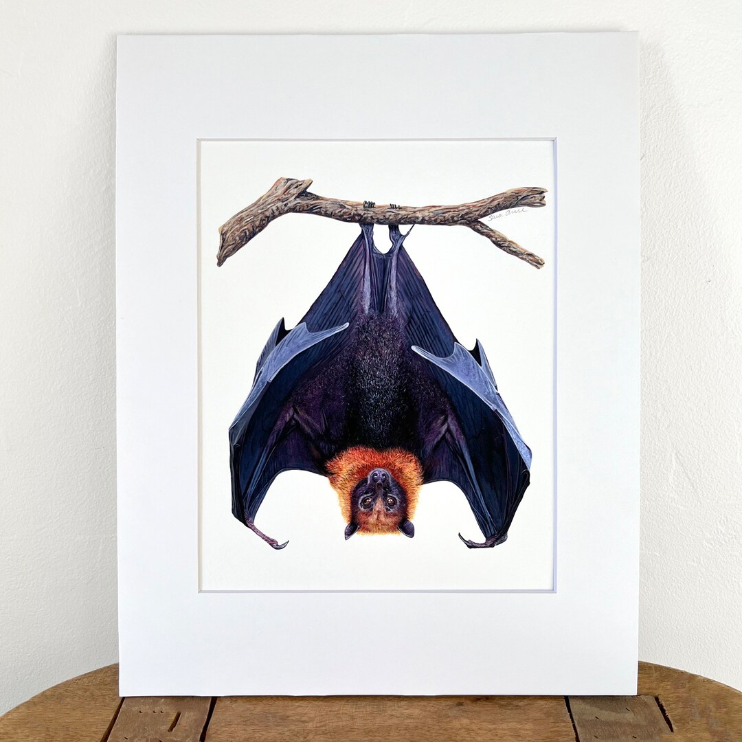 Bat Painting, Bat Art Print, Bat Art, Bat Lover Gift, Flying Fox Bat ...