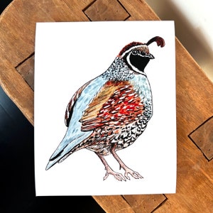 Quail fine art print, Watercolor nature print, bird print, wall art mountain home decor, nature lover gift, wall decor, bird lover quail art