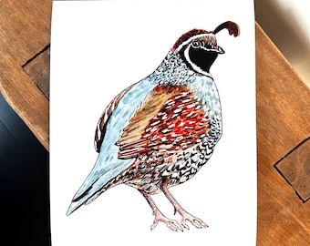 Quail fine art print, Watercolor nature print, bird print, wall art mountain home decor, nature lover gift, wall decor, bird lover quail art