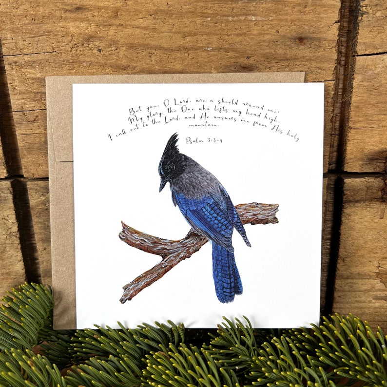 Steller's Jay Bible Verse Card, You O Lord Are a Shield Around Me ...