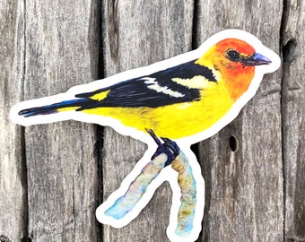 Western Tanager sticker, vinyl sticker decal, bird sticker, bird nerd gift, laptop sticker, tumbler sticker, car sticker, ornithology gift