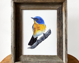 Tickell's Blue Flycatcher bird art print watercolor painting, bird nerd ornithology gift, birding gift, bird lover wall art, wall decor