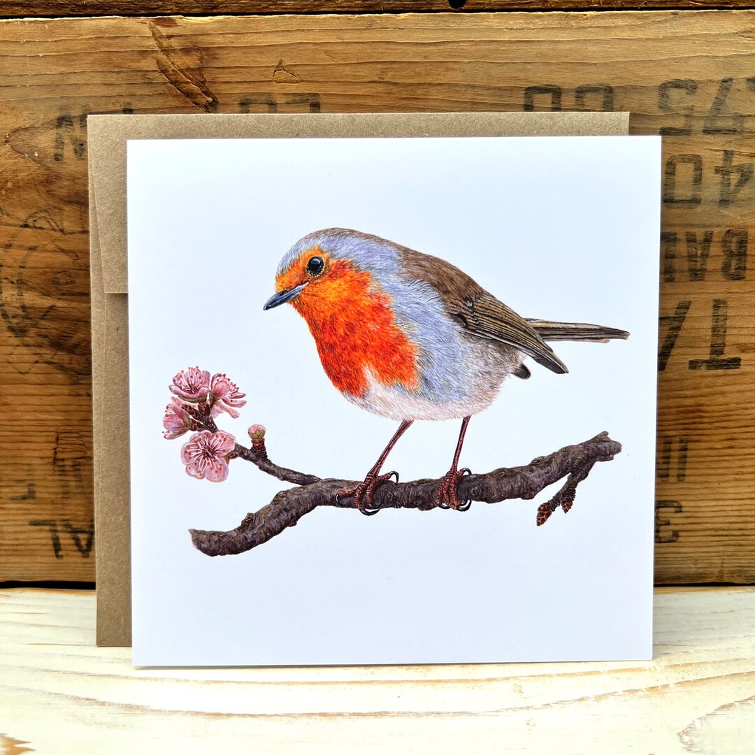 European Robin With Blossoms Greeting Card With Envelope, Bird Card ...