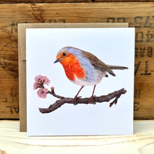 Carte de voeux rouge-gorge avec enveloppe, carte oiseau, carte pour oiseau aquarelle, carte d'art vierge, carte cadeau pour amoureux des oiseaux
