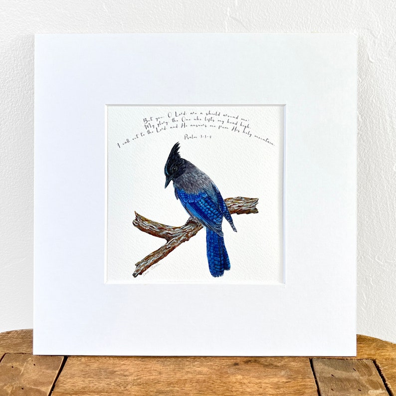 Steller's Jay Bible Verse Art Print, Psalm 3:3-4, You O Lord Are a ...