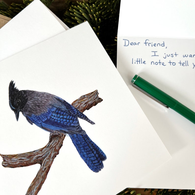 Steller's Jay greeting card with envelope, bird card, watercolor bird notecard, bird lover gift, wildlife card, ornithology gift image 4