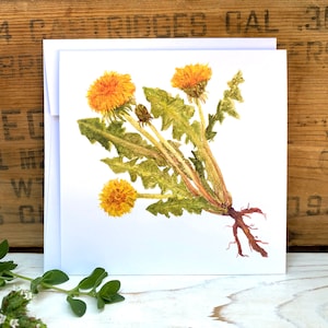Karta z pozdrowieniami z mniszkiem lekarskim, karta z ilustracją botaniczną z dzikimi kwiatami, karta artystyczna, pusta karta z notatkami, papier listowy z kwiatami, karta cottagecore