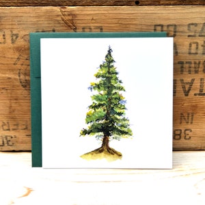 Pine Tree wenskaart, groenblijvende boom aquarel illustratie kaart, boom kunst kaart, lege notitie kaart, bos avontuur kaart, bos kaart