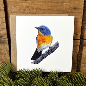 Karte Vogel Grußkarte mit Umschlag, Karte Fliegenschnäpper blau, Karte mit Umschlag, Karte für Vogelfreunde, Karte mit Umschlag, Karte für Vogelfreunde