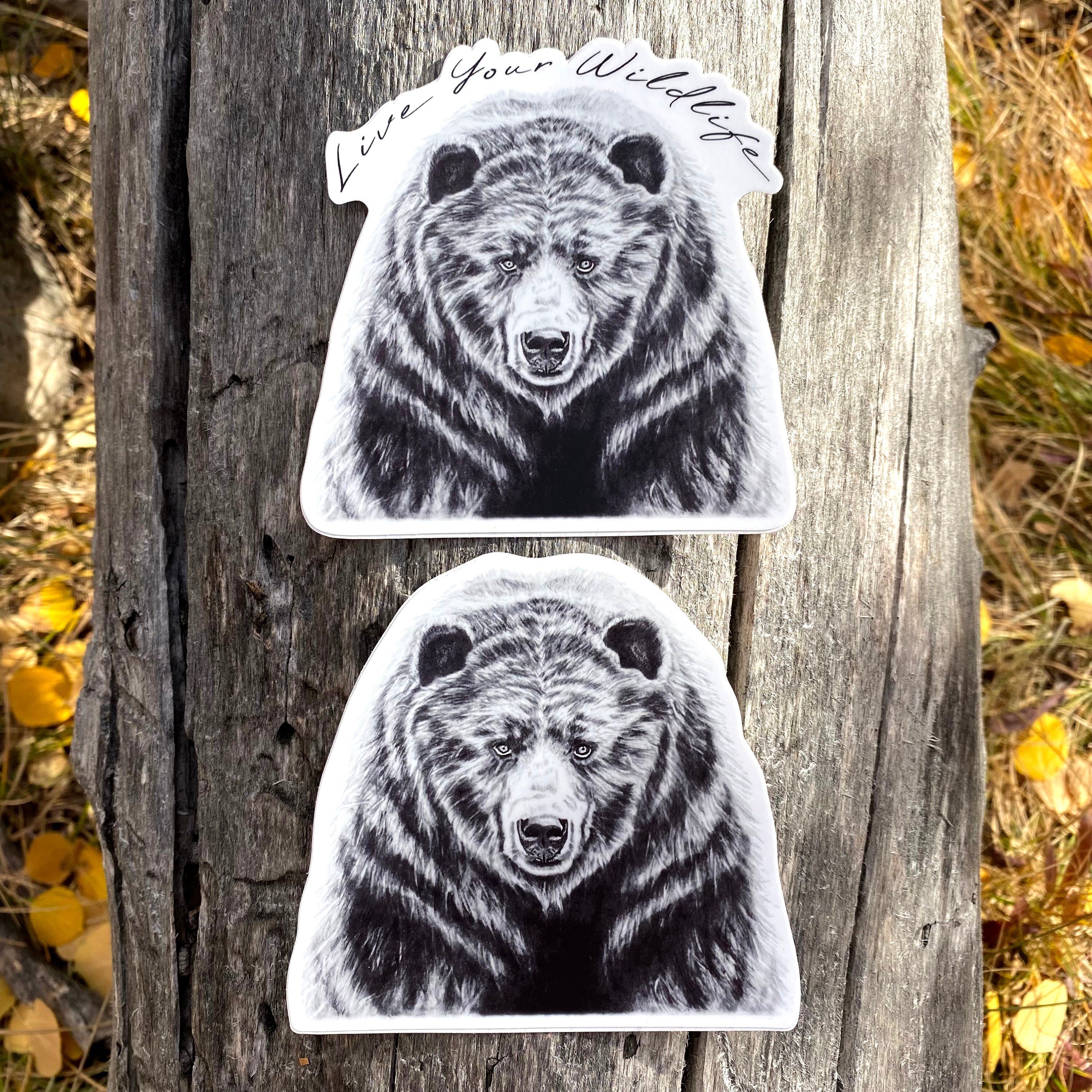 Bear Sticker, Bear Decal Sticker Waterproof Vinyl, Bear Laptop Sticker ...