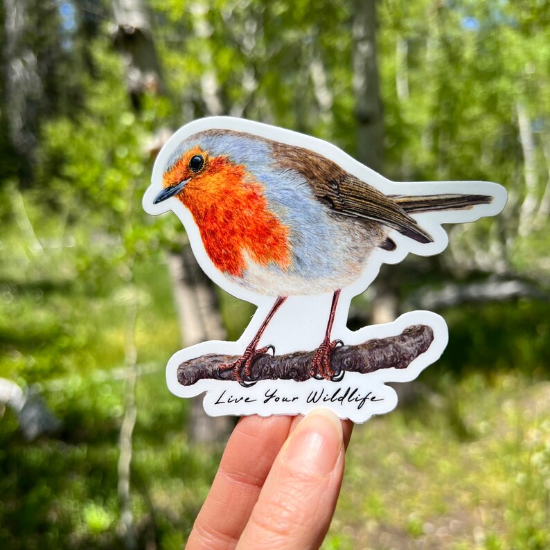 Robin Sticker, Vinyl Sticker Decal, Bird Sticker, Bird Gift, Laptop ...