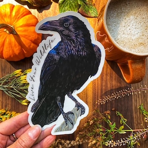 Crow sticker, raven sticker waterproof vinyl decal sticker, cute bird laptop sticker, stocking stuffer, water bottle sticker, car sticker