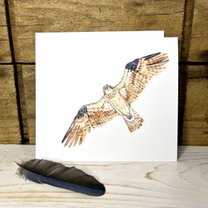 Fischadler Grußkarte mit Umschlag, Vogel Karte, Aquarell Vogel Grußkarte, Blanko Kunst Karte, Vogel Geschenk, Wildtier Karte, Greifvogel