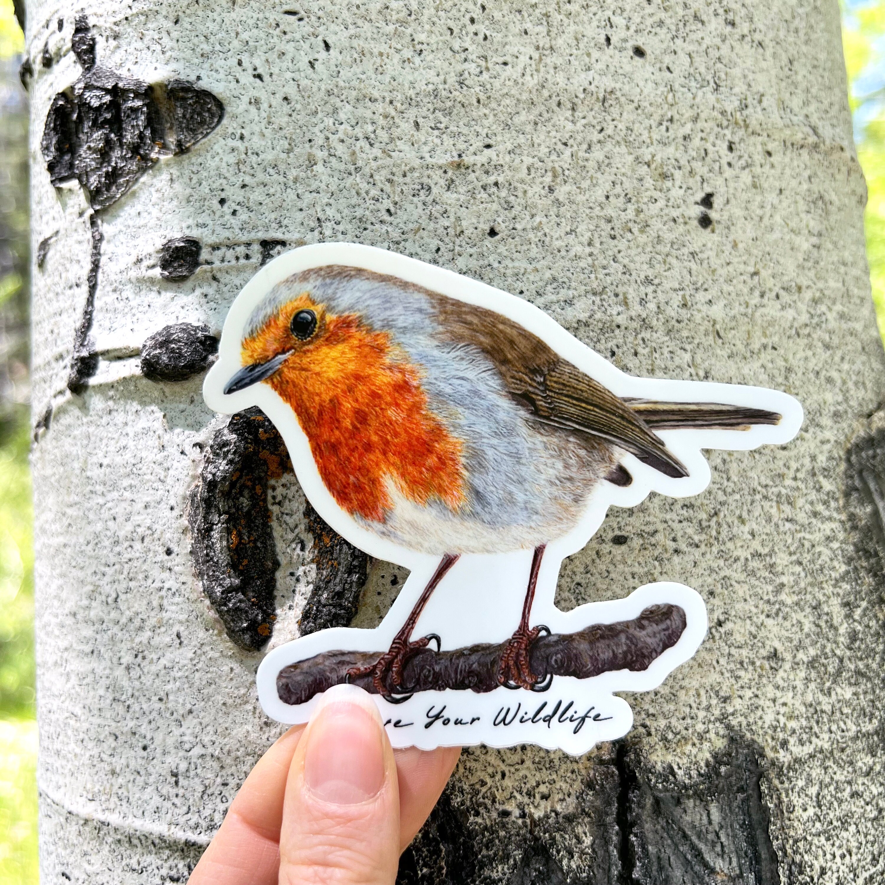 Robin Sticker, Vinyl Sticker Decal, Bird Sticker, Bird Gift, Laptop ...