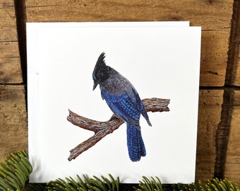 Steller's Jay greeting card with envelope, bird card, watercolor bird notecard, bird lover gift, wildlife card, ornithology gift