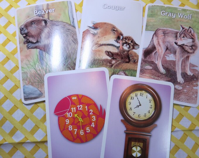 Assorted Flash Cards Set of 32 - Etsy