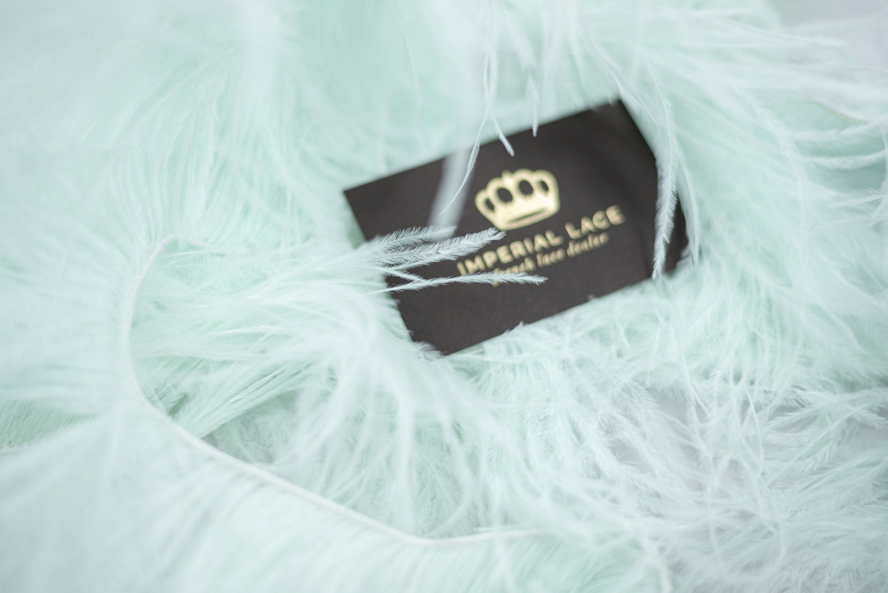 Light mint green Ostrich Feather, Feathers Boho, Feather trim, Natural Ostrich, Feather, Feathers for hair, Trim for sewing, Spalvas 86