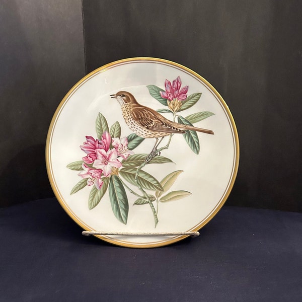 Spode Garden Birds Mistle Thrush Collectible Plate