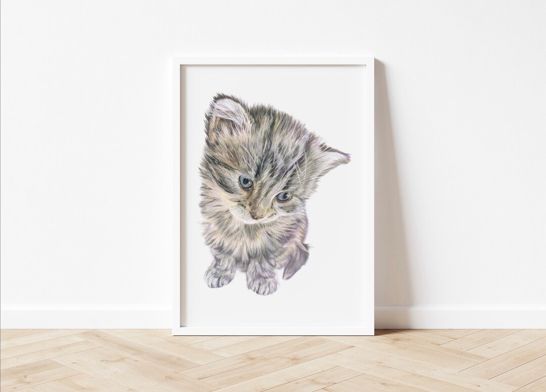 Kitten Wall Art Print, Baby Cat Wall Art, Coloured Pencil Art Print