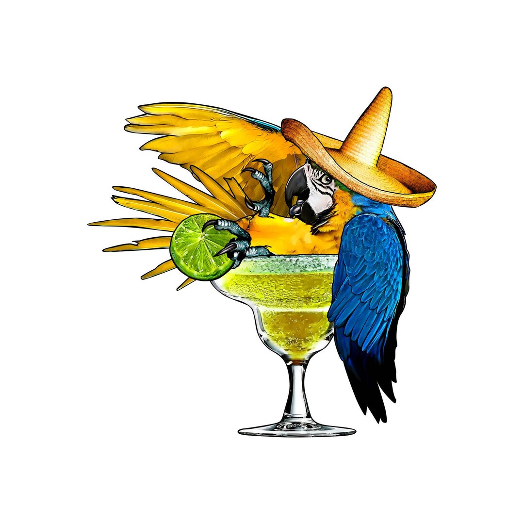 Margarita Parrot Decal, Full Color Drinking Parrot Sticker, Drinking