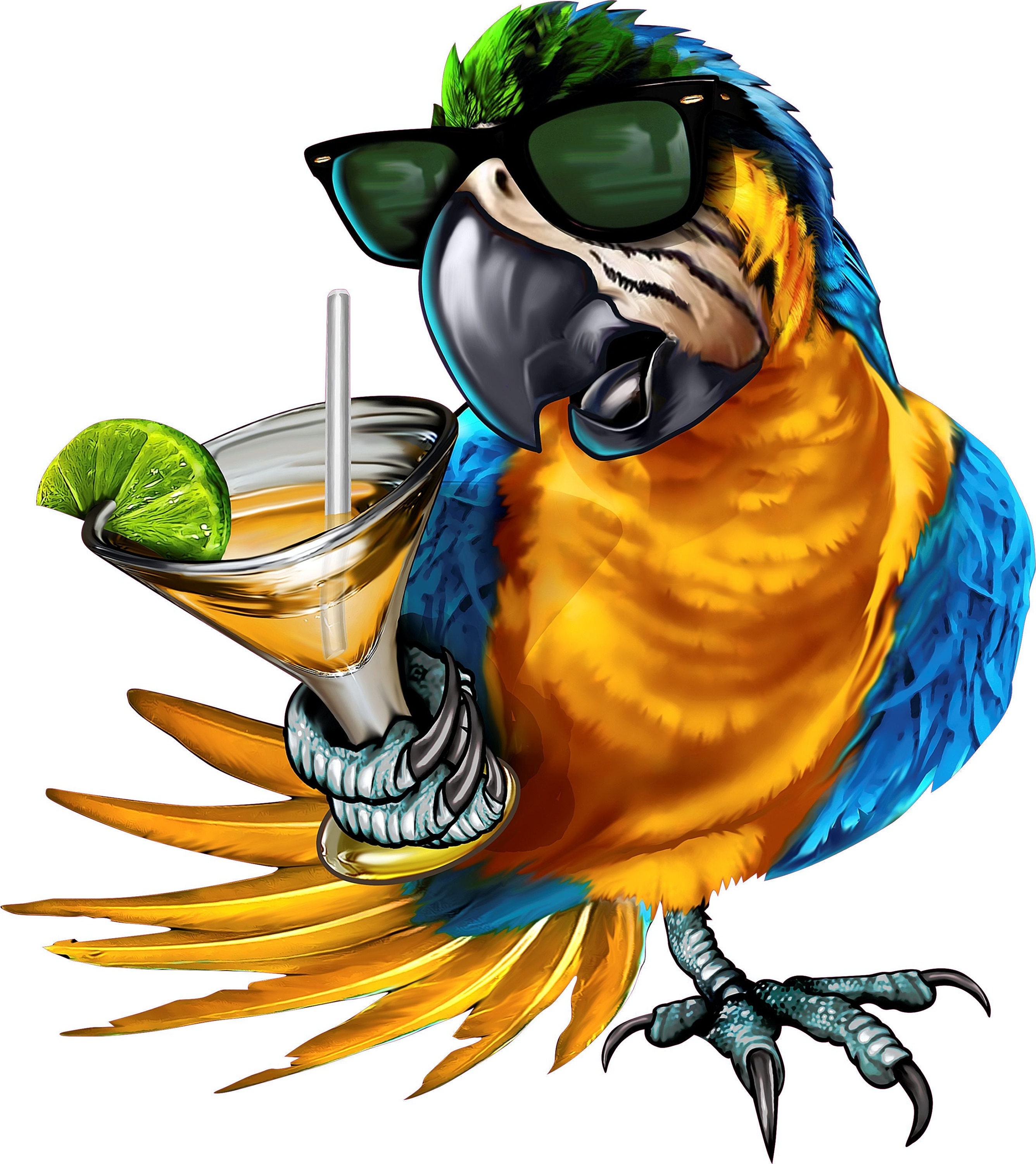 Drinking Parrot Decal, Full Color Parrot With Sunglasses Holding a