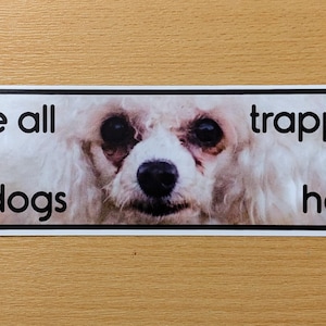 以下が含まれることがあります： 白い犬の顔と「We are all small white dogs trapped in God's hot car」というテキストが書かれた長方形のステッカー。ステッカーは黒い縁取りがあり、木目調の背景に配置されています。