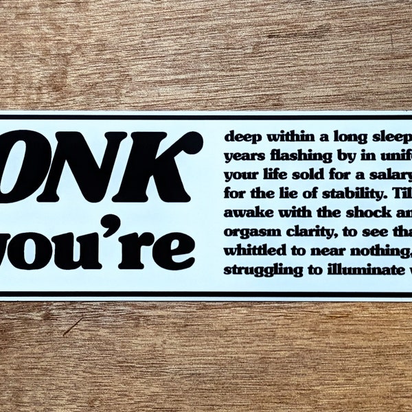 Honk If You're In An Existential Crisis Bumper Sticker