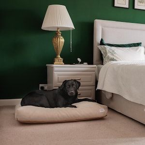 May include: A black Labrador dog resting on a rectangular beige pet bed placed on the floor next to a bed with a white quilted cover, a beige upholstered headboard, and two gold-toned lamps with white pleated shades against a dark green wall.