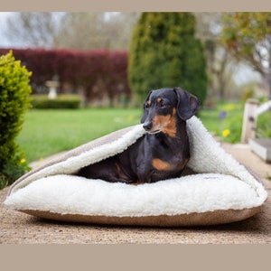 dog bed with blanket attached