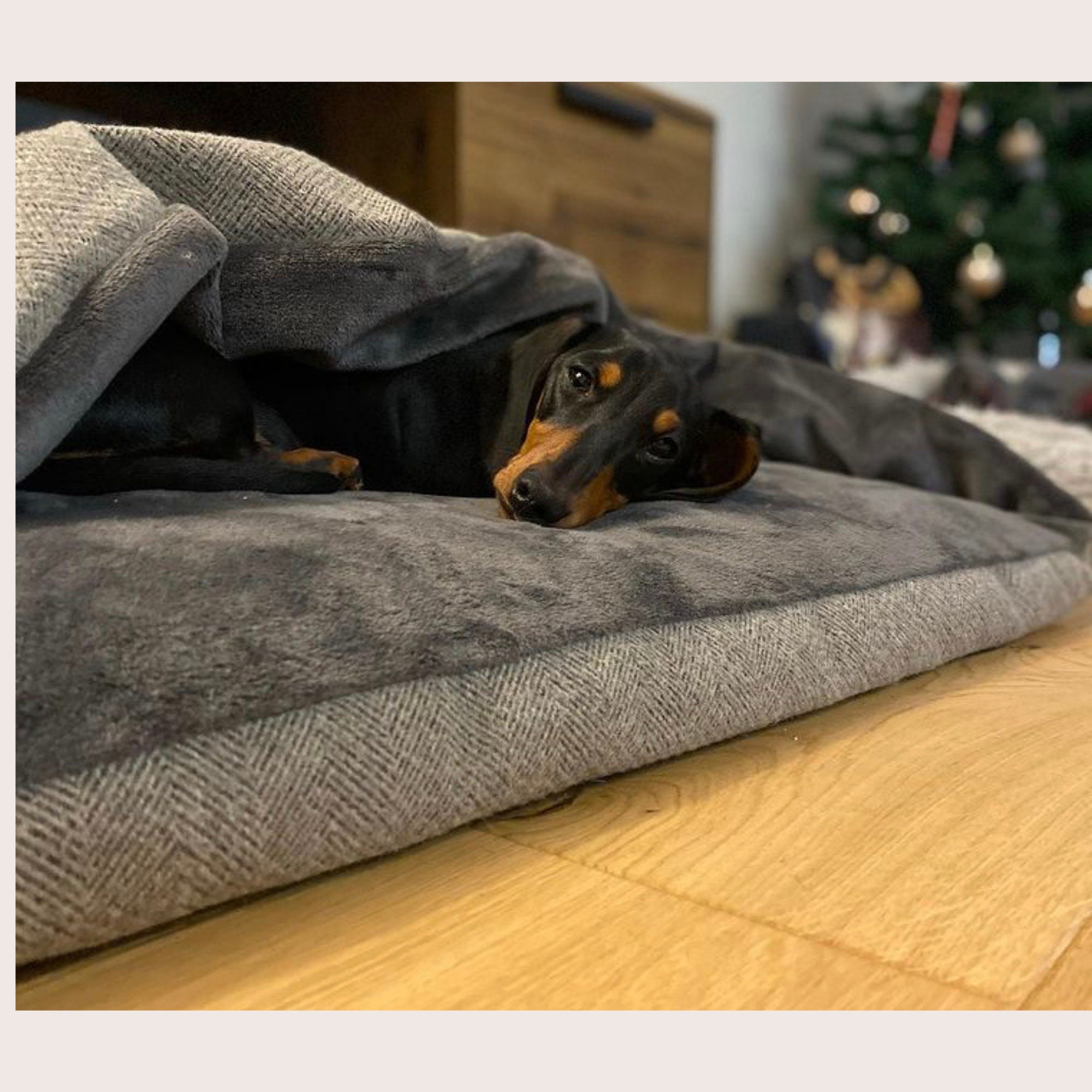 dog den bed