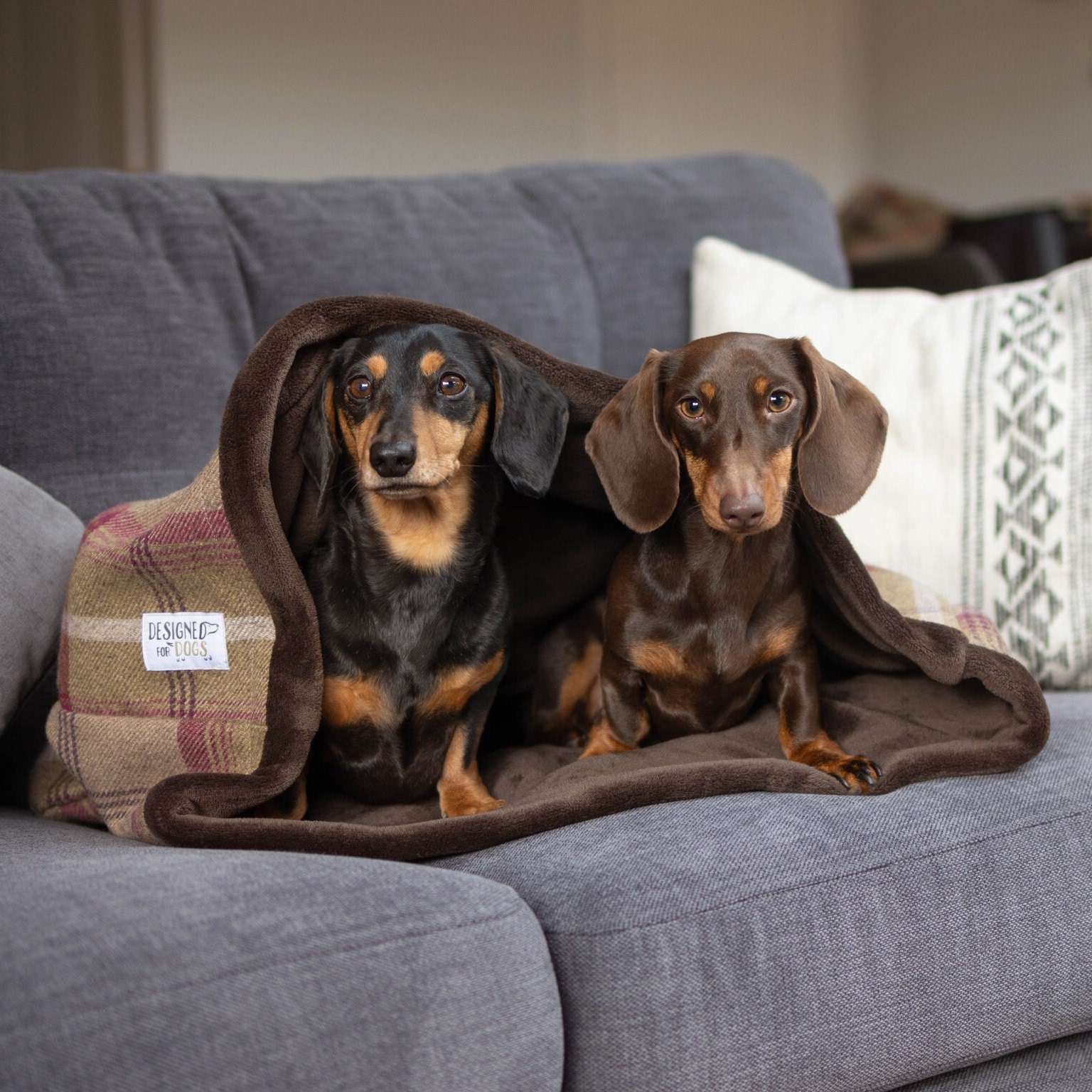 Dog pouch bed sale