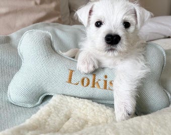 Mini & Large Bone Dog Toys, Personalised Puppy Toys