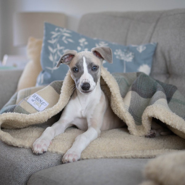 Farmhouse Tartan Snuggle Sacks for Dogs & Puppies, Luxury Sleeping Bag for Pets in Cream, Blue and Grey