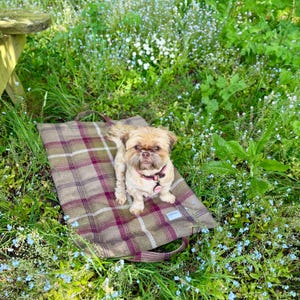 Heather Tartan Dog Training Mat: Padded Travel Dog Bed