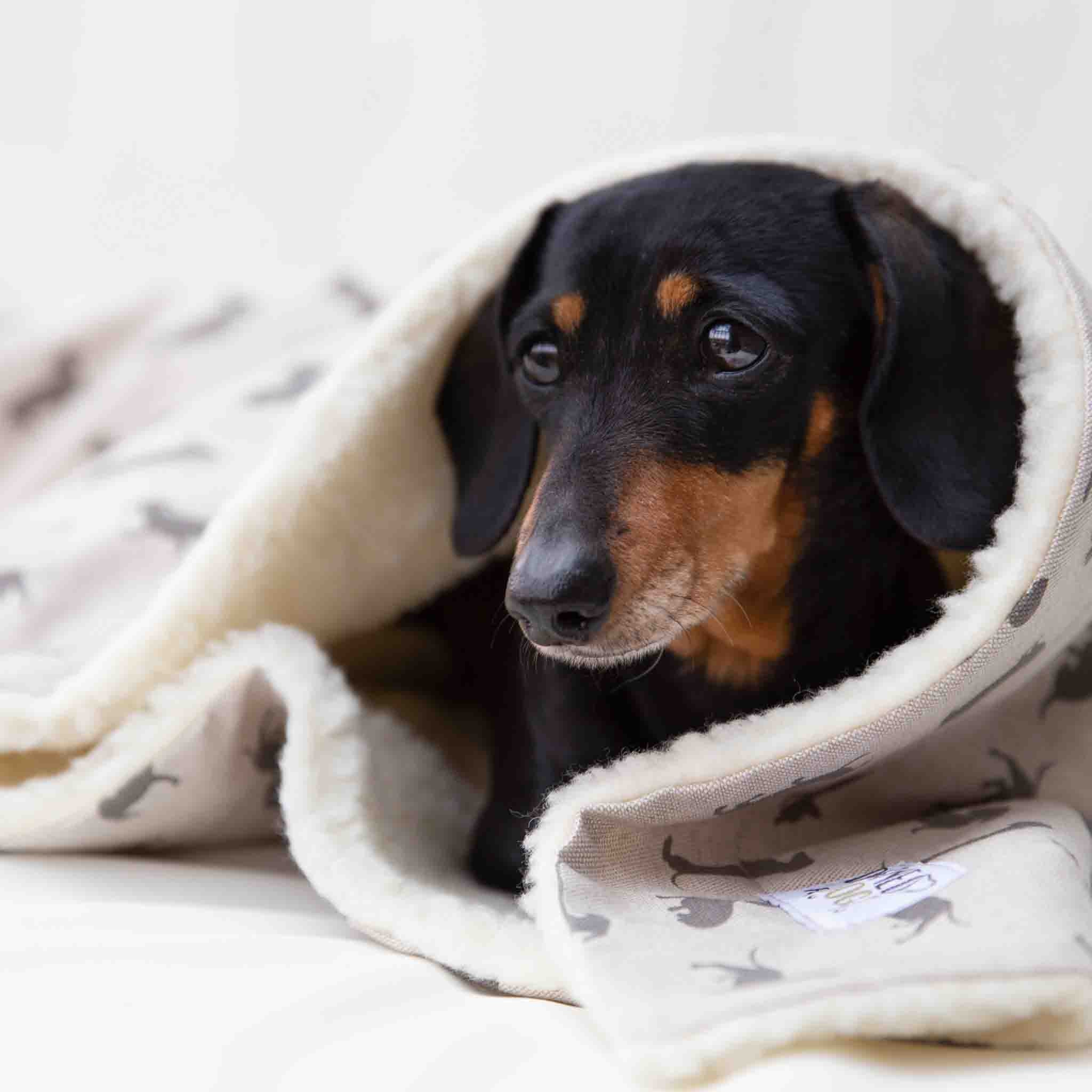 Dachshund Personalised Blanket With Cream Faux Sheepskin Fleece Cream Grey Etsy