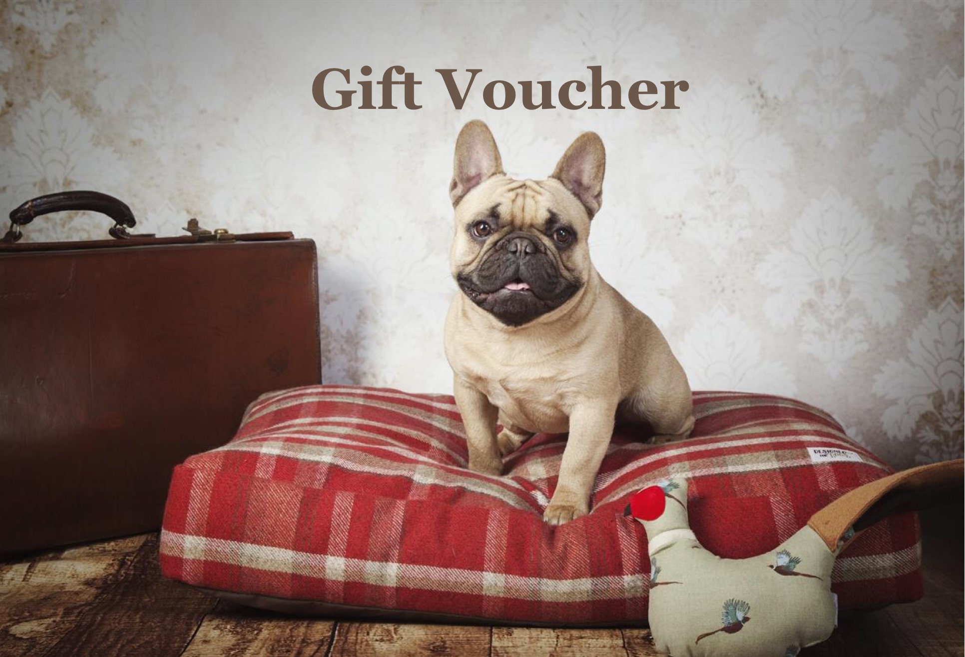 Gift Voucher for Designed for Dogs Etsy