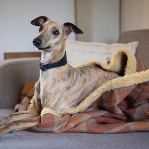 Orange Tartan Dog Snuggle Sack with Toffee Fleece Lining: Warm Fleece Pet Sleeping Bag image 5