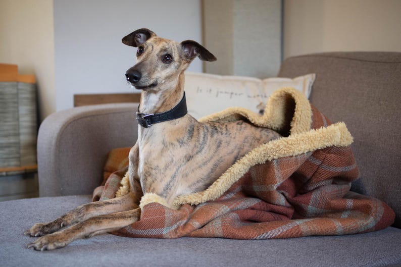 Orange Tartan Dog Snuggle Sack with Toffee Fleece Lining: Warm Fleece Pet Sleeping Bag image 5