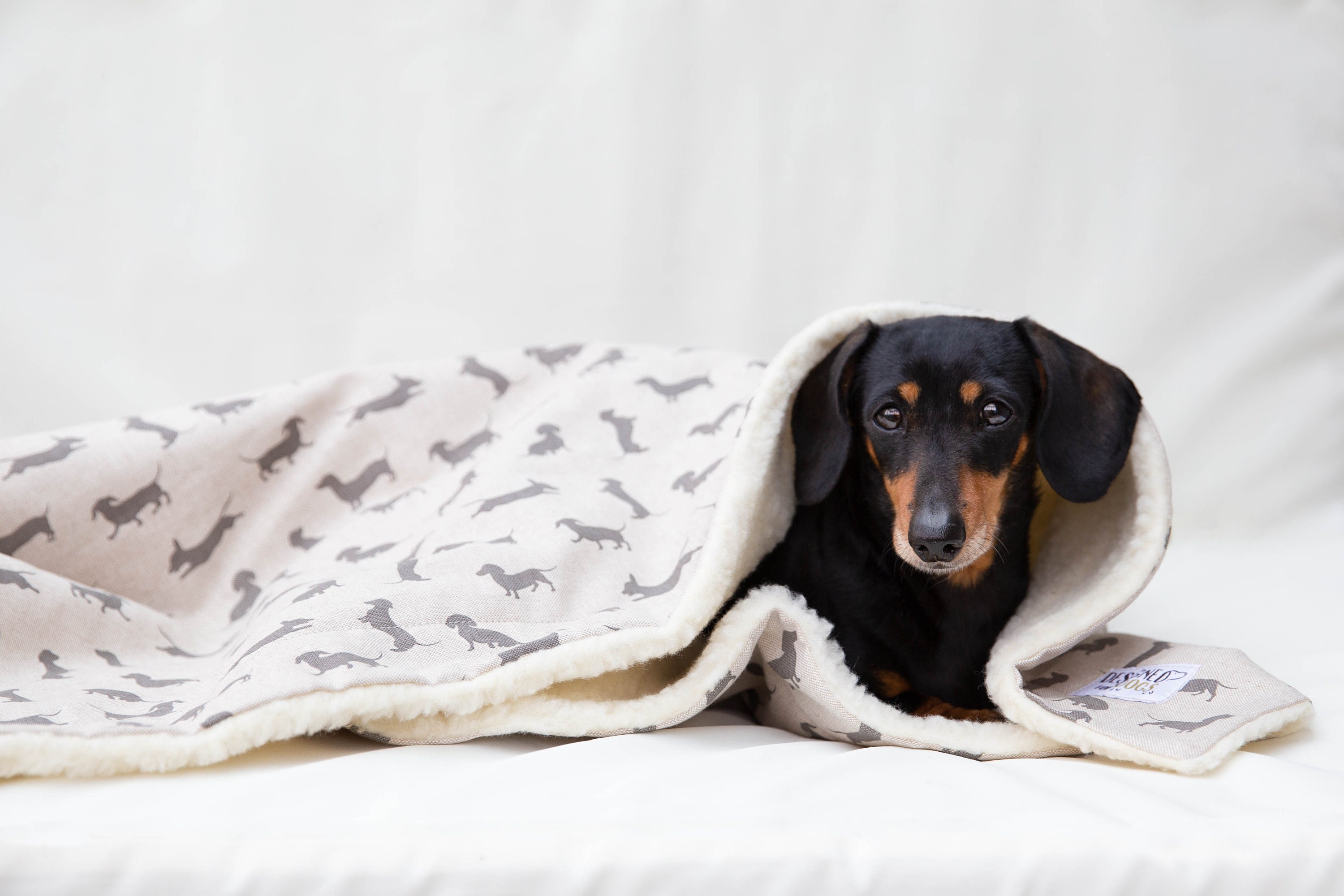 Dachshund Soft & Cosy Dog Blanket Personalised Fleece from | Etsy