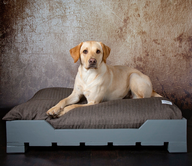 Image result for Dog Beds for Your Beloved Pet