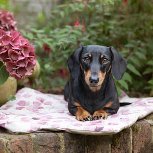 Colchoneta para perros con estampado de hojas de color rosa, THE PICNIC PAD en algodón, cama de viaje para perros