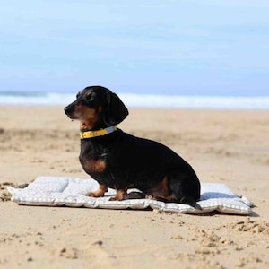 THE PICNIC PAD - Cotton Print Dog Settle Mat in Dachshund, Dogs, Stripe & Spotty