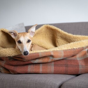 Whippet dog laying inside of warm spice tartan (orange, rust and sage green) dog snuggle sack. lined with toffee faux sheepskin. machine washable. handmade in England.