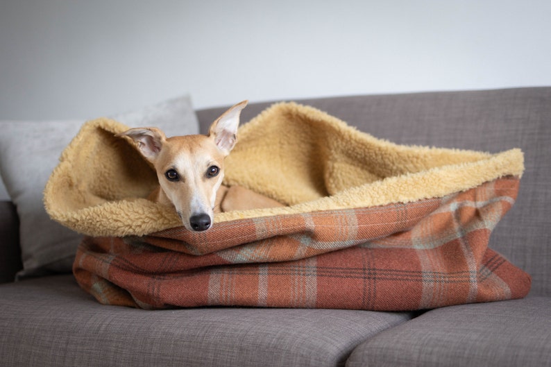 Whippet dog laying inside of warm spice tartan (orange, rust and sage green) dog snuggle sack. lined with toffee faux sheepskin. machine washable. handmade in England.