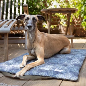 May include: A brown and white dog lying on a blue and white patterned dog bed with a green strap. The dog bed is on a wooden deck.