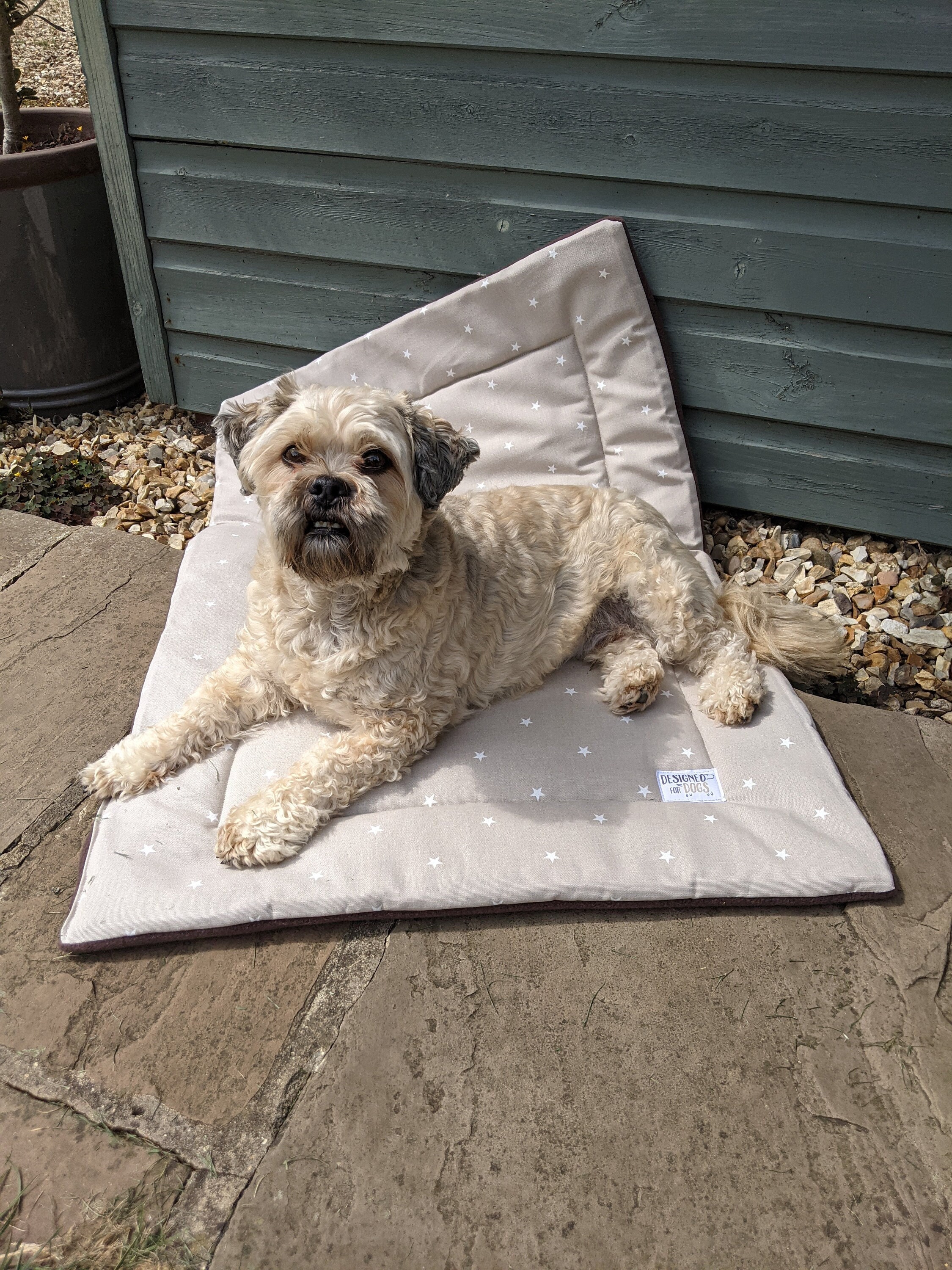 Settle Mat Crate Mat Travel Dog Bed by Designed for Dogs Etsy