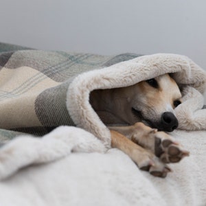 Spare Covers for SMALL DOG DEN Beds in Tweed & Tartan by Designed for Dogs